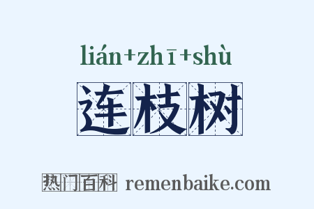 连枝树是什么意思的图片